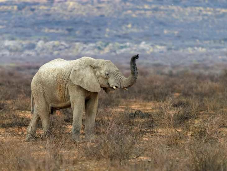 Cover Image for Local PostgreSQL Database with Entity Framework Migrations