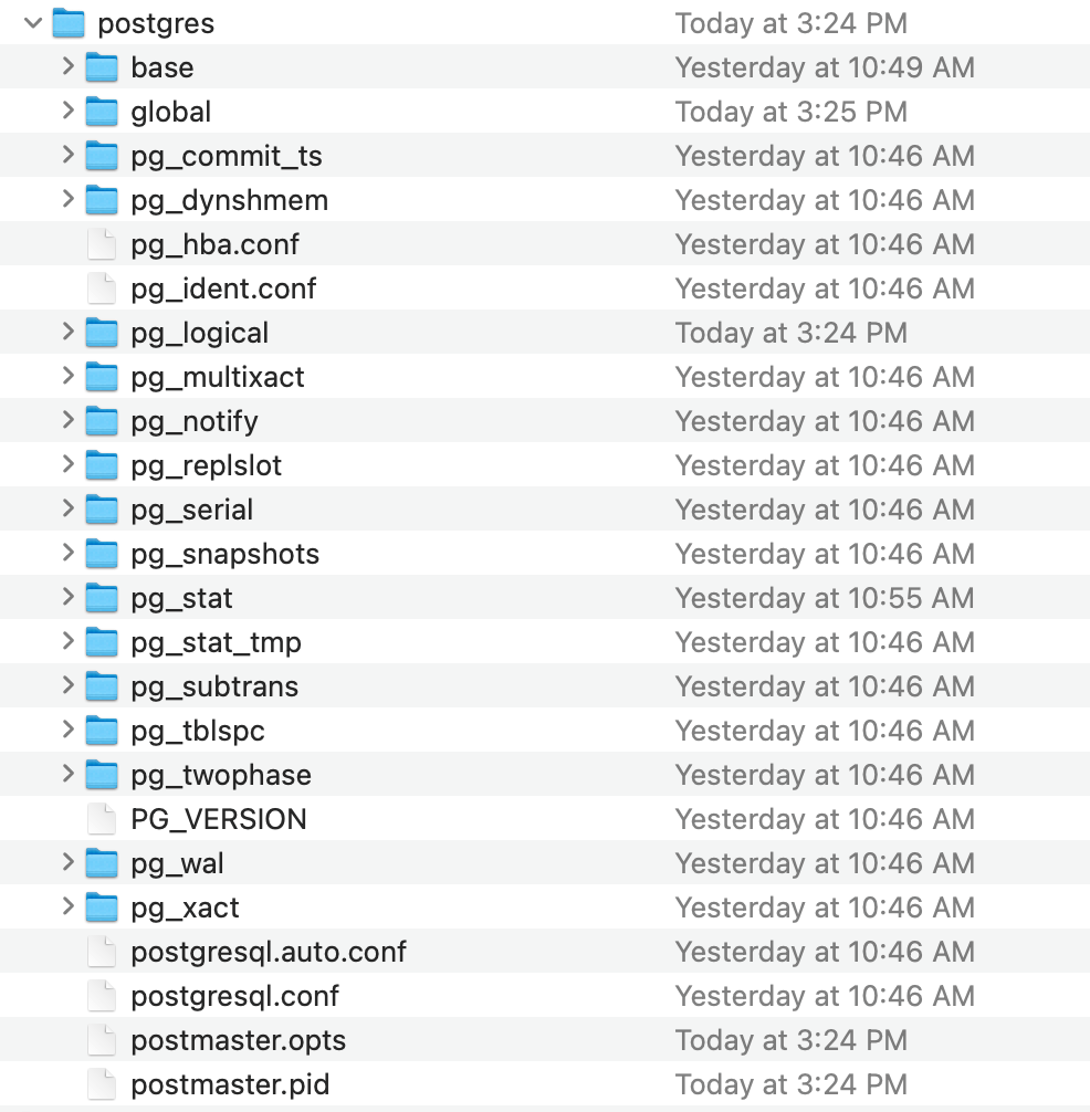 Local Postgres Data Folder Screenshot